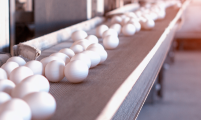 Uzyskaliśmy wstrzymanie pozwolenia na&nbsp;budowę inwestycji zagrażającej przyrodzie i&nbsp;sprzecznej z&nbsp;interesem uczelni&hellip;