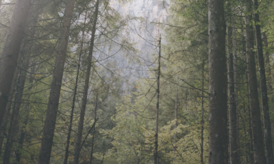 Prelegenci z&nbsp;naszej Kancelarii przeprowadzą szkolenie dla parków narodowych dotyczące „Wybranych&hellip;
