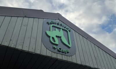 Nasza Kancelaria wsparła Schronisko dla Bezdomnych Zwierząt „W Gaju” –…