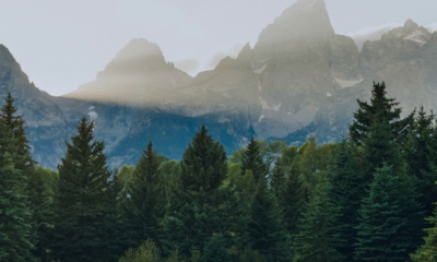 Nasi prawnicy przeprowadzili szkolenie z zakresu udostępniania danych publicznych dla wszystkich…