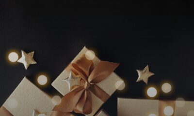 Zorganizowaliśmy akcję świąteczną „Podaj łapę” na rzecz Schroniska dla Bezdomnych Zwierząt…