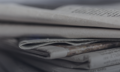 „Kara za usunięcie drzew bez zezwolenia” – artykuł adw. Anety Fornalik w Serwisie…