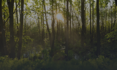 Reforma planowania przestrzennego w praktyce Parków Narodowych