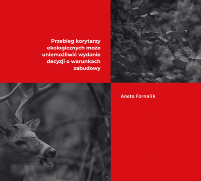 Przebieg korytarzy ekologicznych może uniemożliwić wydanie decyzji o warunkach zabudowy