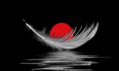 Przewlekłość i&nbsp;bezczynność organu podatkowego podlega karze