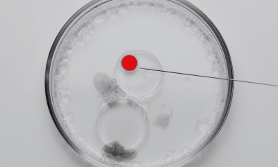 Warsztaty “In vitro w&nbsp;orzecznictwie sądowym – analiza przypadków”