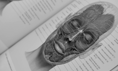 The legal boundaries of aesthetic medicine – a presentation by&hellip;